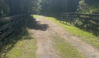 23720 NW 241 County Rd NW, Alachua, FL 32615
