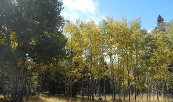 Lot 1287 El Camino Real, Angel Fire, NM 87710