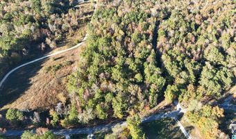 0 WALDROP Rd 10.82 Acres, Ashville, AL 35953