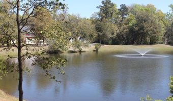 102 American Avocet Ct, Beaufort, SC 29907