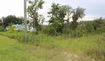 21558 NW Lake Mckenzie Blvd, Altha, FL 32421