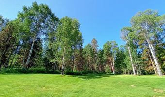 1355 S Timberline Rd, Ashton, ID 83420