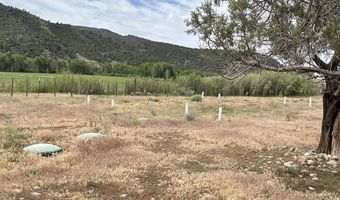 USFS RD 613, Arboles, CO 81147