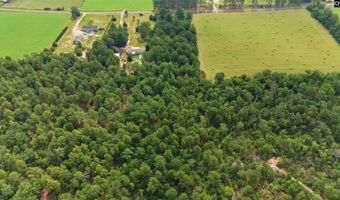 3164 Neely Wingard Rd, Leesville, SC 29070