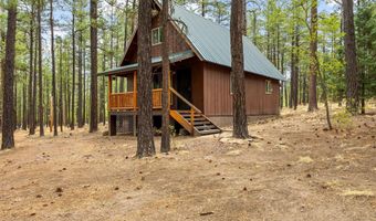 19 Hillcrest Dr, Alpine, AZ 85920