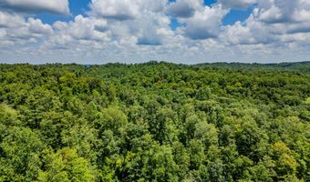 2291 Blankey Branch Rd, Beattyville, KY 41311