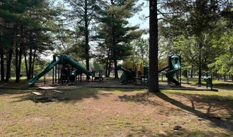 6239 Blackberry Dr, Alger, MI 48610