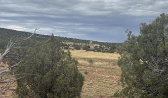 N8485, Concho, AZ 85924