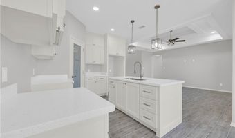 429 Serg Loop, Alamo, TX 78516