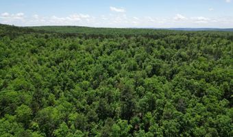 TR 59 60 & 11 K-TRAIL, Albion, OK 74571