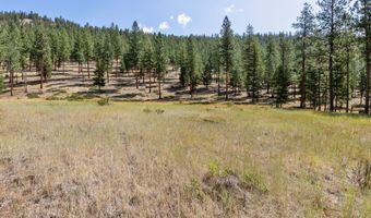13902 Highland Trl, Alberton, MT 59820