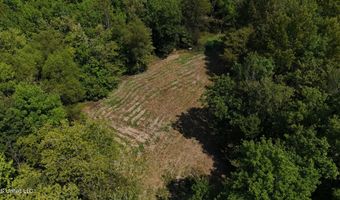 Putnam Road, Belzoni, MS 39038