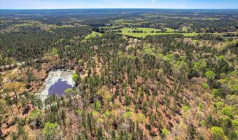 6355 Cobbham Rd Lot 17, Appling, GA 30802