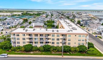 700 First 214, Avalon, NJ 08202