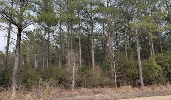 Tuten Road, Aurora, NC 27806