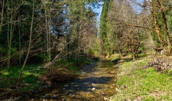 1293 Starveout Creek Rd, Azalea, OR 97410