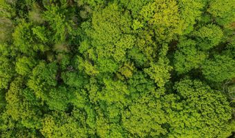 Camp Brook Road lot Map 30 Lot 67, Alstead, NH 03602