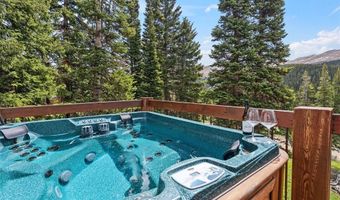229 Lee Ln, Breckenridge, CO 80424
