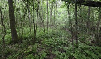 1542 Wellman Dr, Brookhaven, MS 39601
