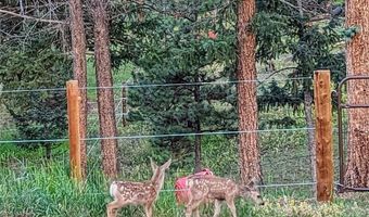 64 Elk Horn Ct, Bailey, CO 80421