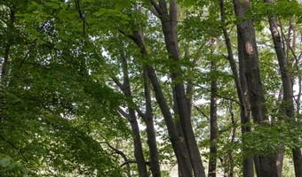 28 Mile Rd, Albion, MI 49224