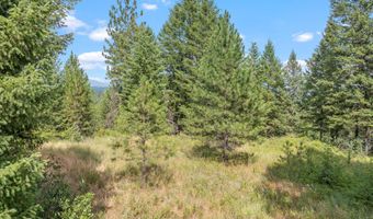 NKA E Forest View Rd, Athol, ID 83801