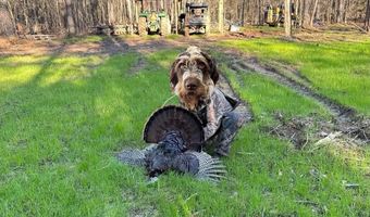 Pleasant Hill Road, Ashland, MS 38603