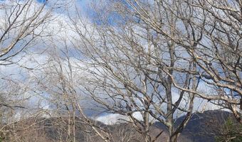 944 Doe Run Rd, Ararat, VA 24053