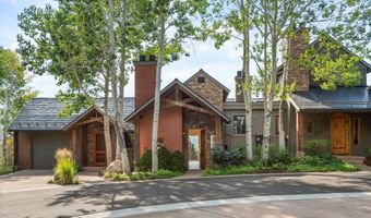 404 Wild Spring Ln, Basalt, CO 81621