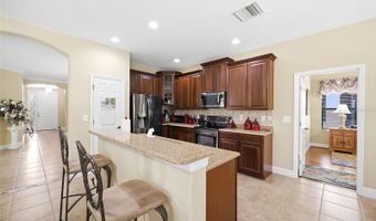 107 SILVER FALLS DR Dr, Apollo Beach, FL 33572