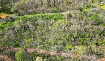TBD Stogdon Hollow RD, Anderson, MO 64831