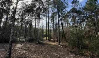 51235 Phillipsville Rd, Bay Minette, AL 36507