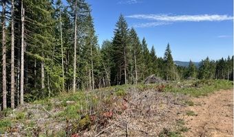 Tunnel Tract Parcel2, Banks, OR 97106