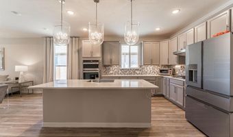 717 Adelyn St, Anna, TX 75409