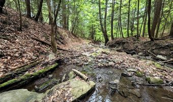 Stewart Road, Addison, NY 14801