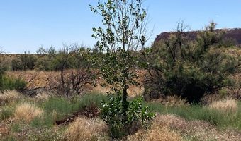 1200 W COTTONWOOD Ave, Bluff, UT 84512