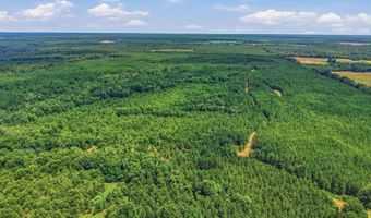 Harry Priddy Road, Americus, GA 31719