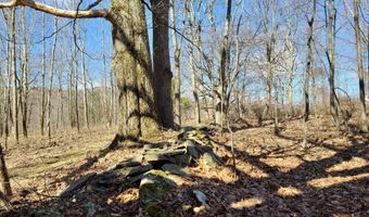Crescent Hill Lane, Andes, NY 13731
