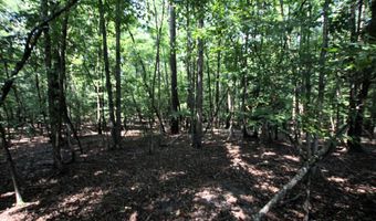 000 Sorrell Rd, Benton, AR 72015