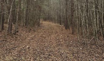 0 HWY 220, Lincolnton, GA 30817