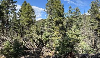 El Vado Way lot 1662, Angel Fire, NM 87710