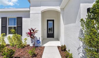 6196 HIDDEN BRANCH Dr, Apollo Beach, FL 33572
