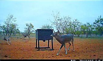 12415 County Road 356, Anson, TX 79501