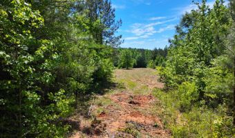 County Road 38, Autaugaville, AL 36003