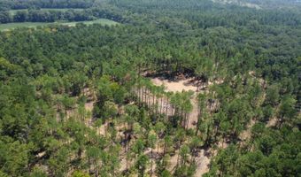 1 Champion Hill Rd, Bolton, MS 39041
