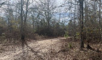 County Road 99, Abbeville, AL 36310