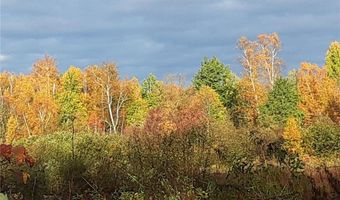 31538 County 23, Akeley, MN 56433