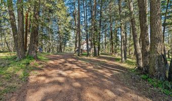 701 McCaffery Rd, Bigfork, MT 59911