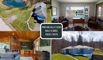 94 Gladstone Hollow Rd, Andes, NY 13731
