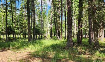 12430 Rippling Waters Rd, Bigfork, MT 59911